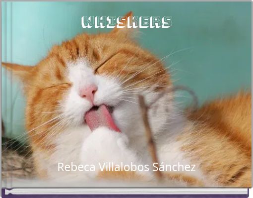 Whiskers