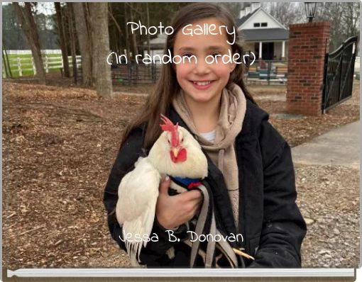 Photo Gallery (In random order)