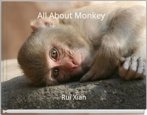 All About Monkey