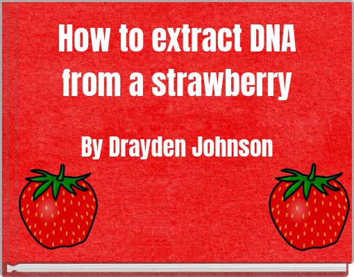 How to extract DNA from a strawberry