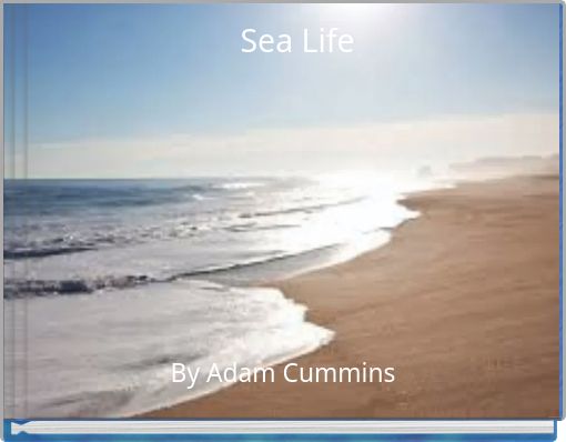 Front cover of 'Sea Life' 