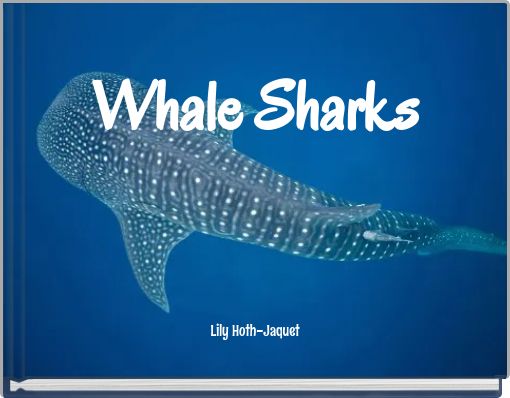 Whale Sharks