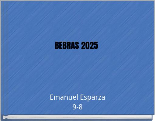 BEBRAS 2025