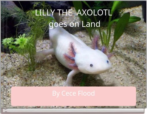 LILLY THE AXOLOTL goes on Land