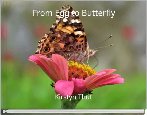 From Egg to Butterfly