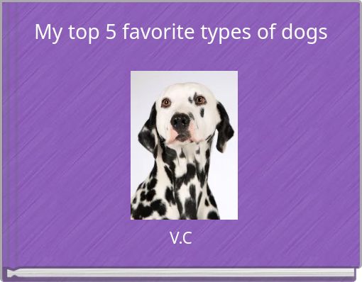 My top 5 favorite types of dogs
