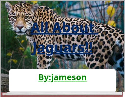 All About Jaguars!!