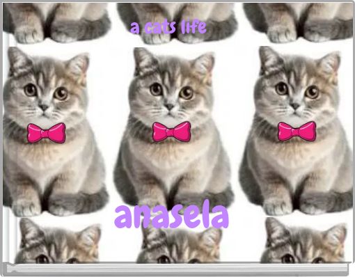 a cats life