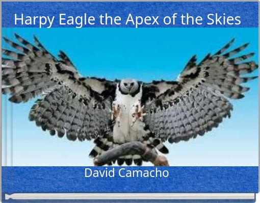 Harpy Eagle the Apex of the Skies