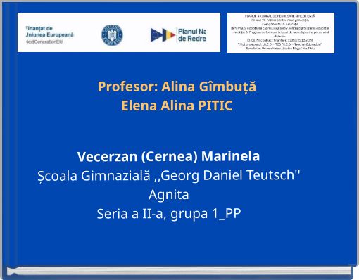 Profesor: Alina G&icirc;mbuță Elena Alina PITIC