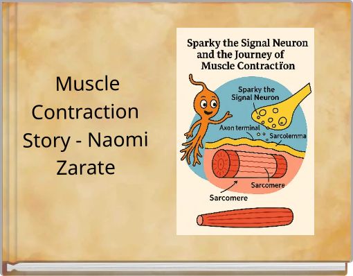Muscle Contraction Story - Naomi Zarate