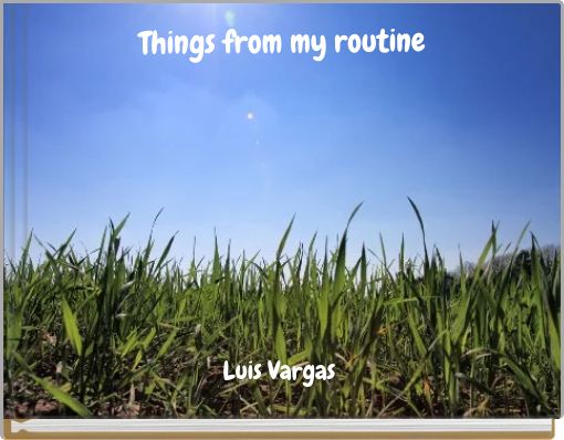 Things from my routine