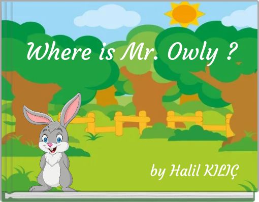 Front cover of 'Where is Mr. Owly ?' 