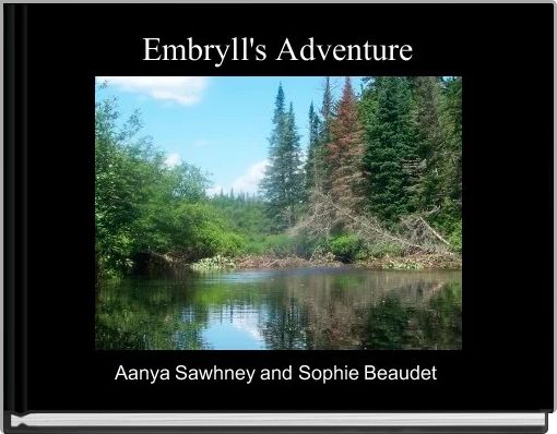 Front cover of 'Embryll's Adventure' 