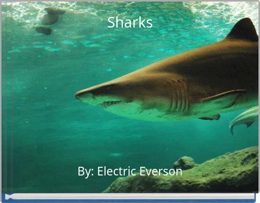 Sharks