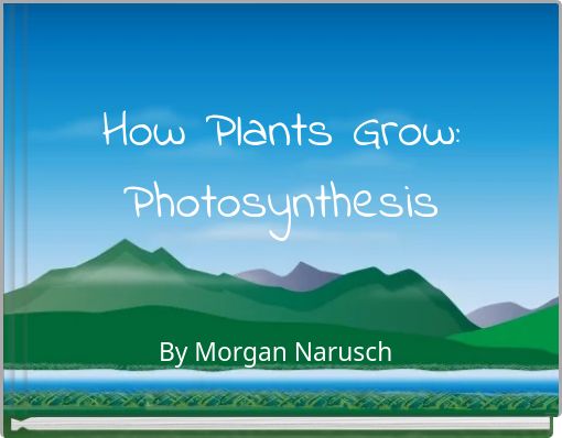 How Plants Grow: Photosynthesis