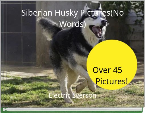 Front cover of 'Siberian Husky Pictures(No Words) Over 45 Pictures!' 
