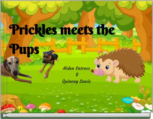 Front cover of 'Aiden Entress & Quincey Lewis' 