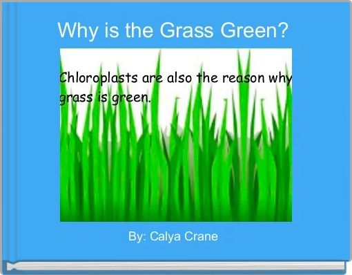 Why is the Grass Green? 