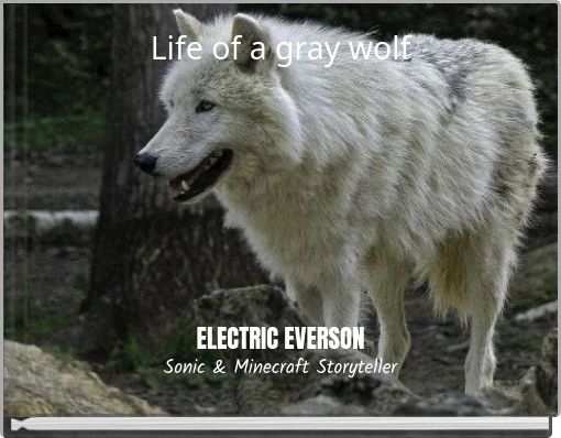 Life of a gray wolf