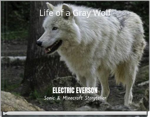 Life of a Gray Wolf