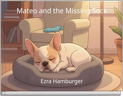 Mateo and the Missing Sock