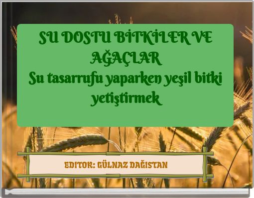 SU DOSTU BİTKİLER VE AĞAÇLAR Su tasarrufu yaparken yeşil bitki yetiştirmek