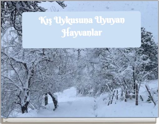 Kış Uykusuna Uyuyan Hayvanlar