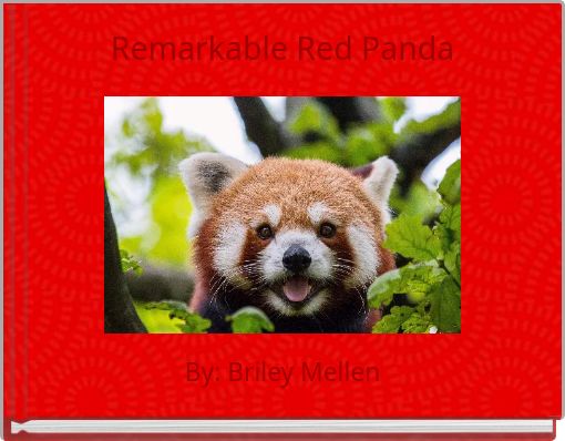 Remarkable Red Panda