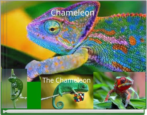 Chameleon