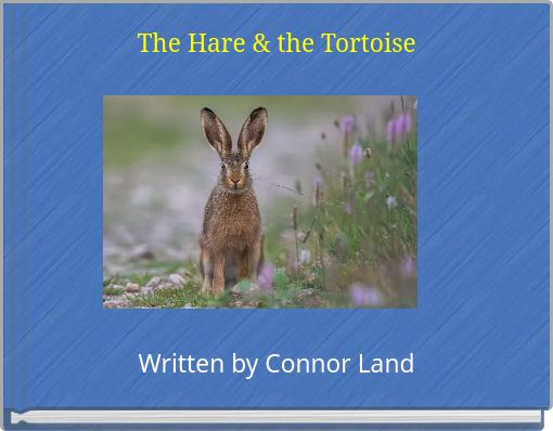The Hare & the Tortoise