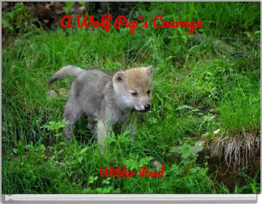 A Wolf Pup's Courage