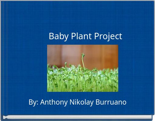Baby Plant Project