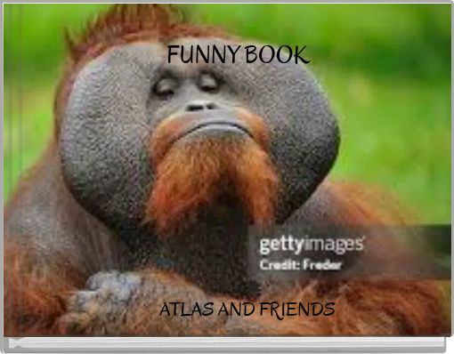 FUNNY BOOK