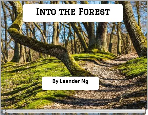 Into the Forest