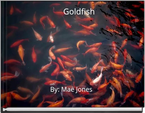 Goldfish