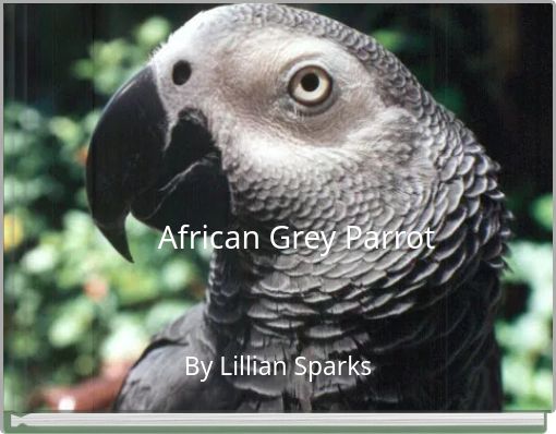 African Grey Parrot