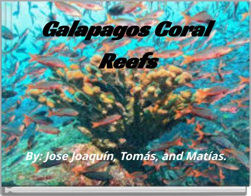 Galapagos Coral Reefs