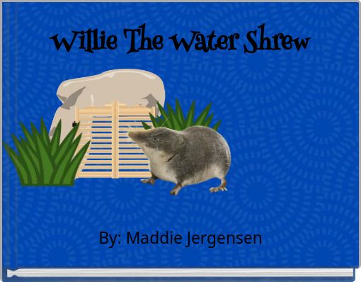Willie The Water Shrew