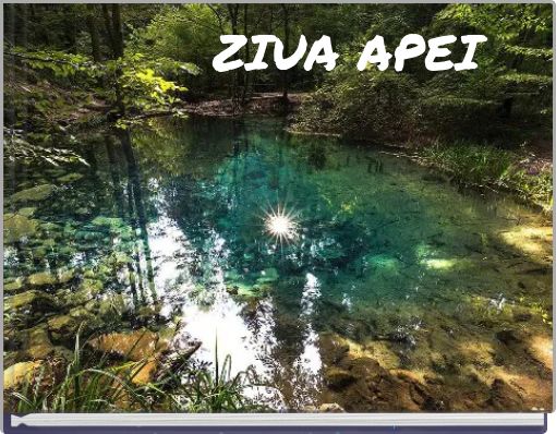 ZIUA APEI
