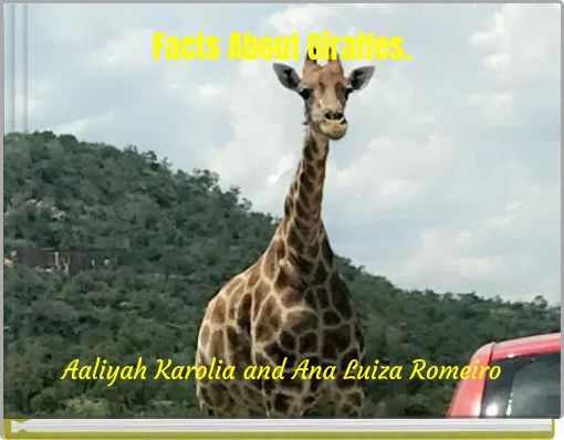 Facts About Giraffes.