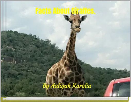 Facts About Giraffes.