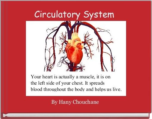 Circulatory System 