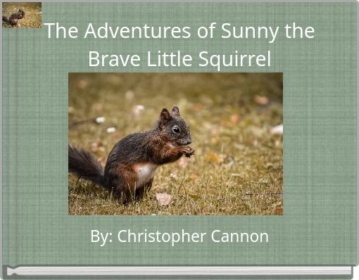 The Adventures of Sunny the Brave Little Squirrel