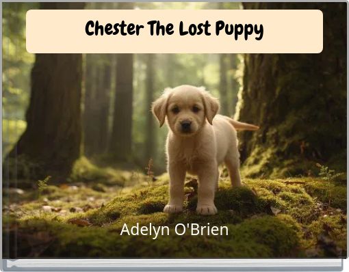 Chester The Lost Puppy