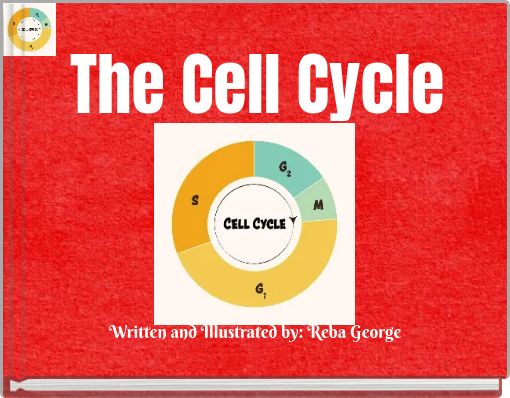 The Cell Cycle