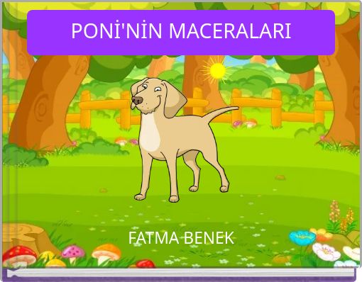 PONİ'NİN MACERALARI