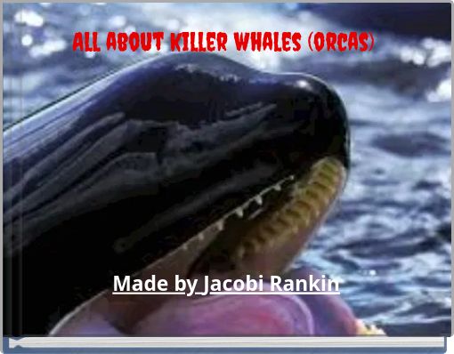 All about killer whales (orcas)