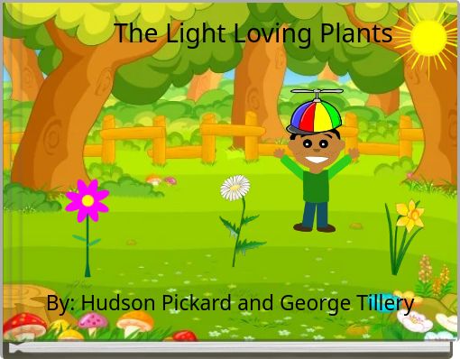 The Light Loving Plants