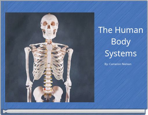 The Human Body Systems